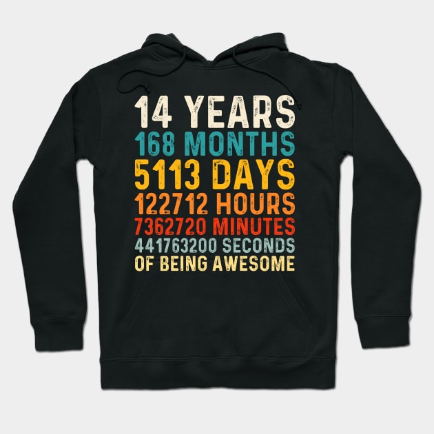 14 Years old of Being Awesome, 14th Birthday Gift Vintage Hoodie by DragonTees